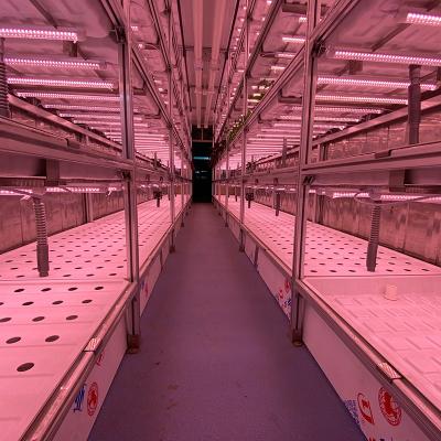 China Temperature Climate Control 40 Foot Container Hydroponic Farm Greenhouse Agricultural Growing System for sale