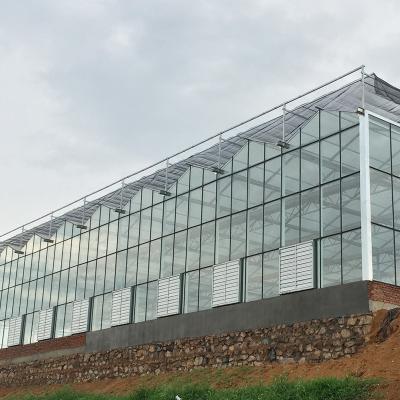 China Large Agricultural Glass Greenhouse with Advanced Hydroponics System and Glass Cover for sale