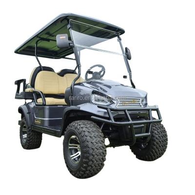 China Remote Control Electric Golf Buggy 22