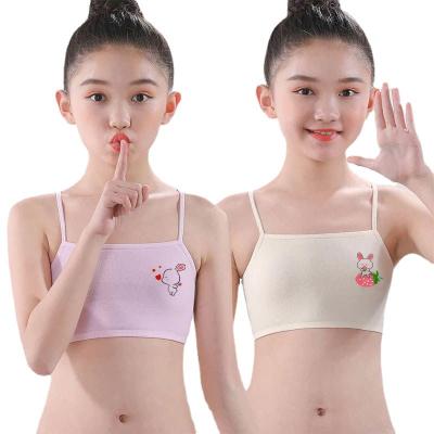 China QUICK DRY most popular cotton bra breathable underwear for girls in the developmental period for sale