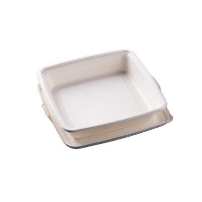 China Hot Selling Eco-friendly Biodegradable Disposable Food Containers Disposable Meal Tray Compartment Food Container Quickly for sale