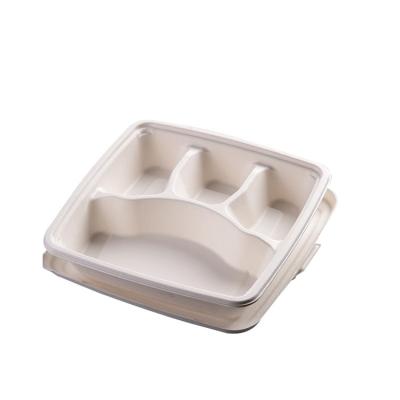 China High Grade New Design Disposable Biodegradable Food Parcel Container Eco Friendly Disposable Eco Friendly Disposable for sale