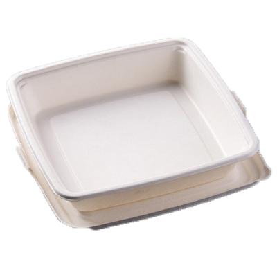 China Manufacturers Direct Selling Food Compartment Disposable Biodegradable Fast Food Containers Eco-Friendly Disposable Containers for sale