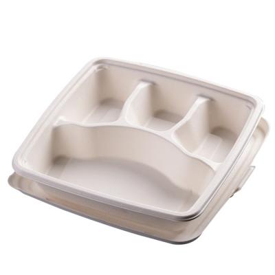 China New Eco-Friendly High Quality Biodegradable Eco-Friendly Disposable Bagasse Food Container Food Containers Lunch Box for sale