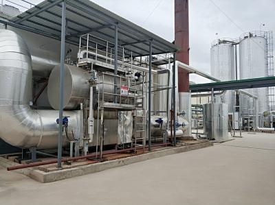 Cina Desolforazione di Boiler Plant De Nox System in vendita