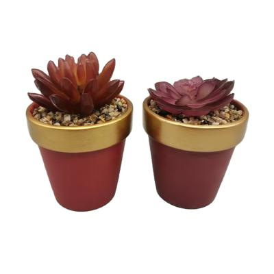 China Modern Design Ceramic Christmas Flower Pot Garden Succulent Pot Small for sale