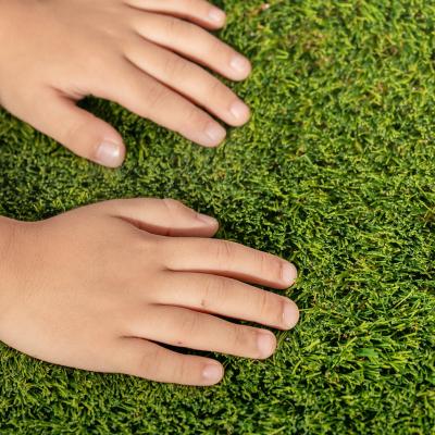 China Price High Quality Flat Moss Lawn Carpet Mat Turf Turf natural artificial grass for garden for sale