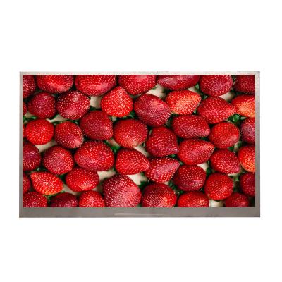 China Customization 10.1 Inch 1024*600 WSVGA LCD TN Display Panel ODM Un-SI TFT With MIPI For Industrial Home Application 10.1 for sale