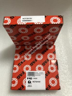 China FAG  Single Row Full Complement Cylindrical Roller Bearing  NCF2919V for sale