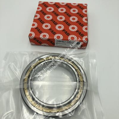 China FAG  Cylindrical Roller Bearing  NU1020-E-XL-M1-C3 for sale