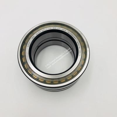 China INA  full complement cylindrical roller bearing SL45014-PP-RR-C3-2NR for sale