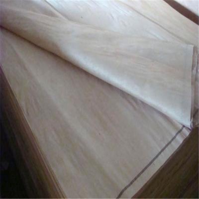 China Modern Natural Wood Veneer Birch Veneer B/C Grade Birch Veneer For Sale for sale