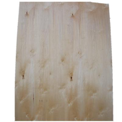 China Modern High Quality Rotary Cut Birch Veneer Natural Birch Wood Face Veneer For Plywood for sale