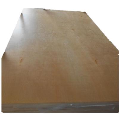 China Modern Birch Veneer Plywood Veneer Laminated Birch Plywood 12mm Commercial Furniture Plywood for sale