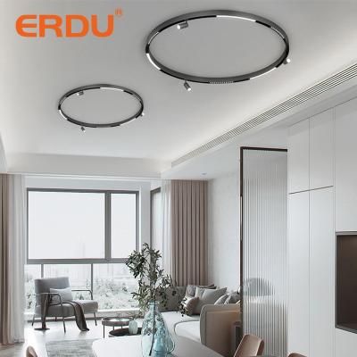 China ERDU 48v Modern Spot Track Light Showroom Modern Indoor Lighting Round Shape Magnetic Led Linear Track Light for sale