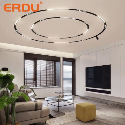 China ERDU Modern Black Aluminum Exterior 120cm Flush Mounted Ceiling Mounted Round Shape Magnetic Led Track Light for sale