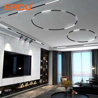 China ERDU Modern Round Shape Track Rail Smart Aluminum Housing Indoor Lighting Black Led Magnetic Track Light Fixture for sale