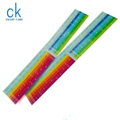 China Plastic Ruler Plastic Student 3D UV Printing Colorful Ruler for sale