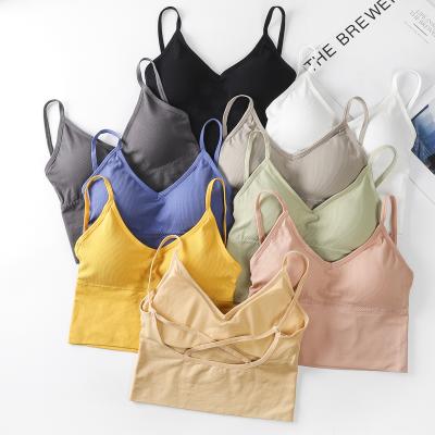 China QUICK DRY Fashion Wrapped Chest Bra Sports Tank Top Fitness Vest U Back Tube Top Seamless Bra for sale