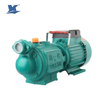 China ZGD-1.5 Water Supply High Pressure Screw Electric Power Self Priming Water Pump for sale