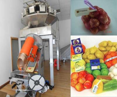 China Full Automatic Citrus Potato, Onion Net Bag Packing Plant for sale