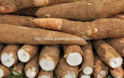 China Automatic Cassava Flour Production Line for Sale for sale