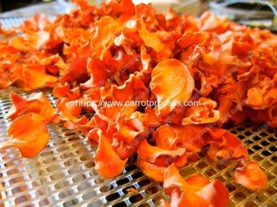 China Full Automatic Dehydrated Carrot Chips Production Line for sale