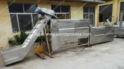 China Large Capacity Carrot Washing Machine for sale