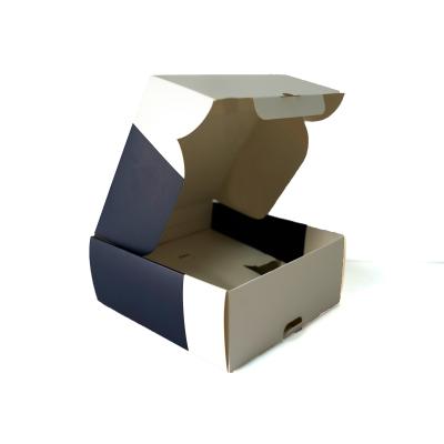 China Luxury Customize Logo Earphone Packaging Box Foldable Cardboard Box With Hanger for sale