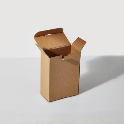 China Recyclable Custom Kraft Paper Two Tuck End Packaging Corrugated Box For Shipping for sale