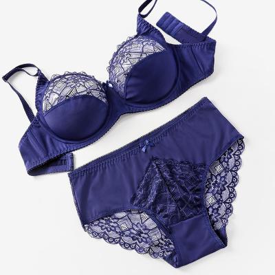 China Hot QUICK DRY plus size briefs women sexy width bra set strap and panties lace underwear pump padded bra sets for sale