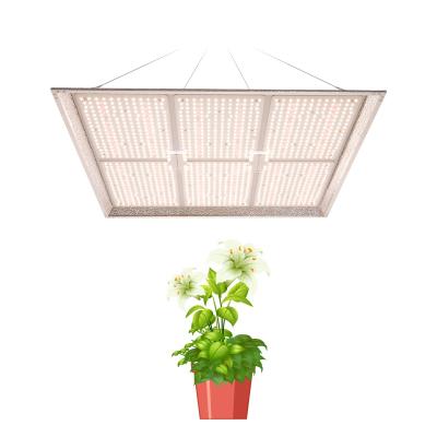 China Seed starting 2021 best high power 600w dual spectrum lights led grow light with controler and dimmable hanger for indoor plant for sale