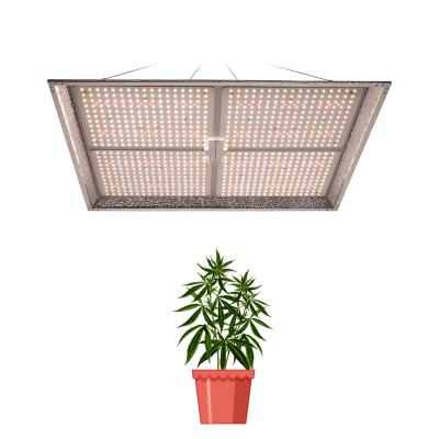 China Seed starting top sale 400w 1000 watt cob chip blue red led grow light with reflector lights kit for USA hydraulic lighting system for sale