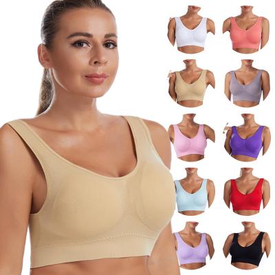 China More Viable Bra S-4XL Plus Size Every Day Bra Bow Decoration Full Coverage Women Large Plus Size Padded Bra for sale