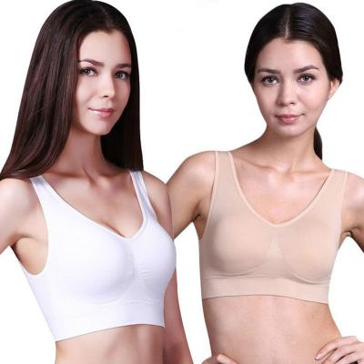 China QUICK DRY fitness women's private label bras wireless sports ladies big l plus size bra 2021 fashion private label bra XL classic for sale