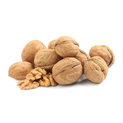 China Inshell Shelled Walnut Bulk Dry Wholesale Virgin Oil Walnut and Thin Skin Walnut for sale