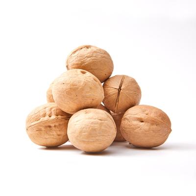 China 2021 New Culture Top Grade Dried Cheap Walnut Shelled Chinese Walnut Walnuts Wholesale for sale