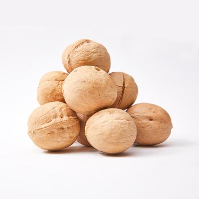 China Wholesale Chinese Walnut Thin Inshell Dry Raw Shelled Walnut Walnut Without Shell for sale