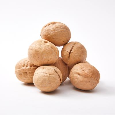 China 1 Ton Black 185 Skin Walnut Raw Thin Shell Chinese Dried Chinese Dried Fruit Inshell Walnuts for sale