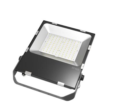 China Sports Stadiums 100W LED Flood Light Ip66 SMD Outdoor for sale