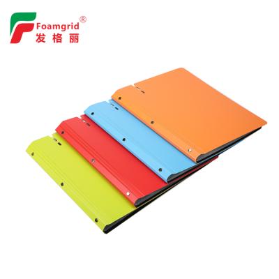 China vigorous & New Eco - Friendly Document Display Book A4 Size 30 Pocket PP Clear Plastic Folder for sale