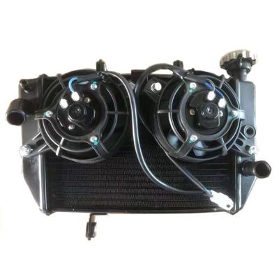 China Y15 Metal Radiator NO.2 Aluminum Water To Air Cooler Two Fan Competitive Price Motorcycle Cooling Parts Many for sale