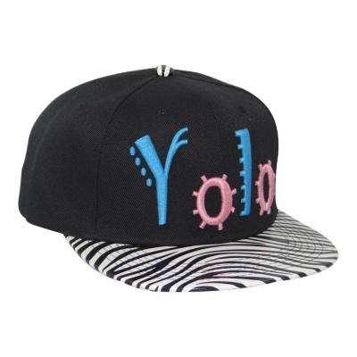 China COMMON Custom Cotton Snapback Hat 3d Embroidery Snapback Hat for sale