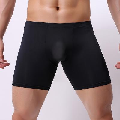 China 2020 New Design Antibacterial Long Leg Mens Underwear Boxers For Men for sale