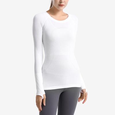 China Women's Fitness Suit Quick Drying Direct Selling Yoga Suit Long Sleeve Antibacterial Skinny Skinny T-Shirt for sale