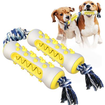 China Sustainable Unique Design Hot Selling Dual Training Toothbrush With Big Rope Dog Toys for sale