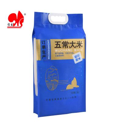 China High quality plastic 5kg rice packaging bags moisture proof laminated four side seal gusseted pouch with handle for sale