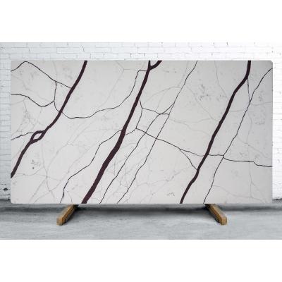 China Modern Quartz Stone Countertops Fast Delivery Quartz Terrazzo Black And White Quartz for sale