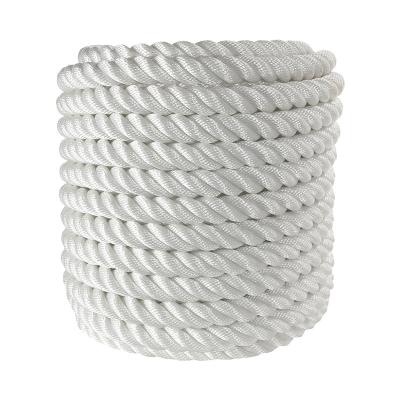 China Durable Lots Of Wholesale 100 200 220m Per Roll Packing Danline Plastic Nylon PP Fishing Rope for sale