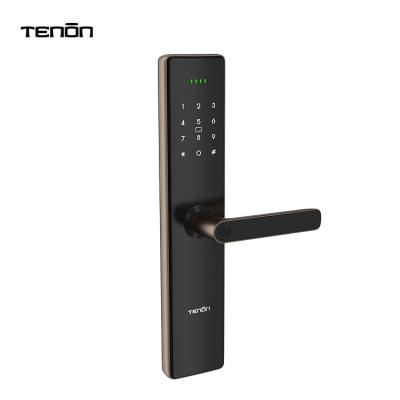 China Wooden or Metal Doors Tenon Outdoor Smart Wifi Smartlock Digital Keypad E15 Password Smart Fingerprint Wireless Door Handle Lock for sale